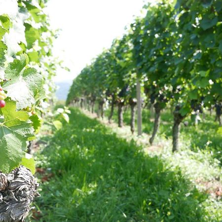 Ferienwohnung Kirschbluete Mosbach  Zewnętrze zdjęcie